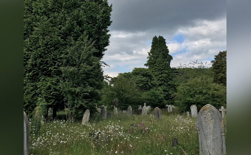 Summer tales from the Old Cemetery